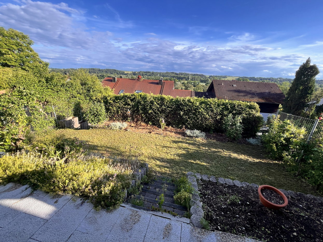 Blick von der Terrasse in den Garten mit Sichtschutzhecke