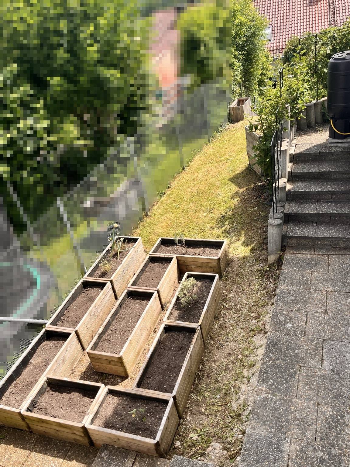 Seitlicher Gartenbereich mit Hochbeeten